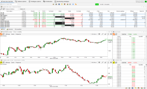 Live Charts & Watch List